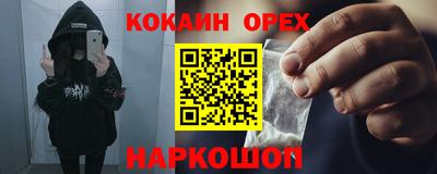 хмурый Сланцы
