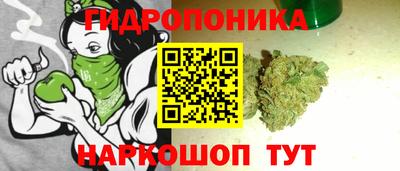 хмурый Сланцы