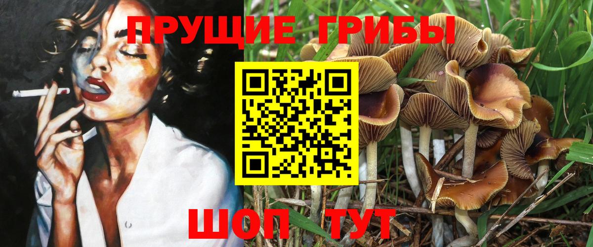 Галлюциногенные грибы Psilocybine cubensis  Псилоцибиновые грибы Psilocybe  Севастополь  Вход с VPN 
