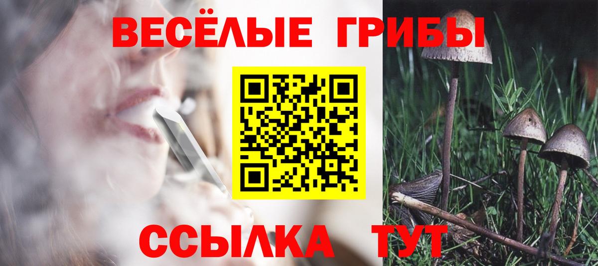 Галлюциногенные грибы Psilocybe Севастополь